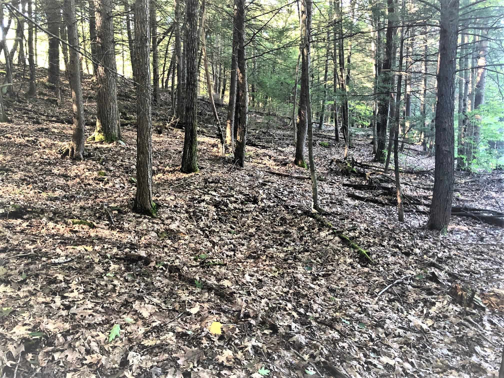 0 North Shore Road Spofford, NH 03462 - Photo 6 of 10