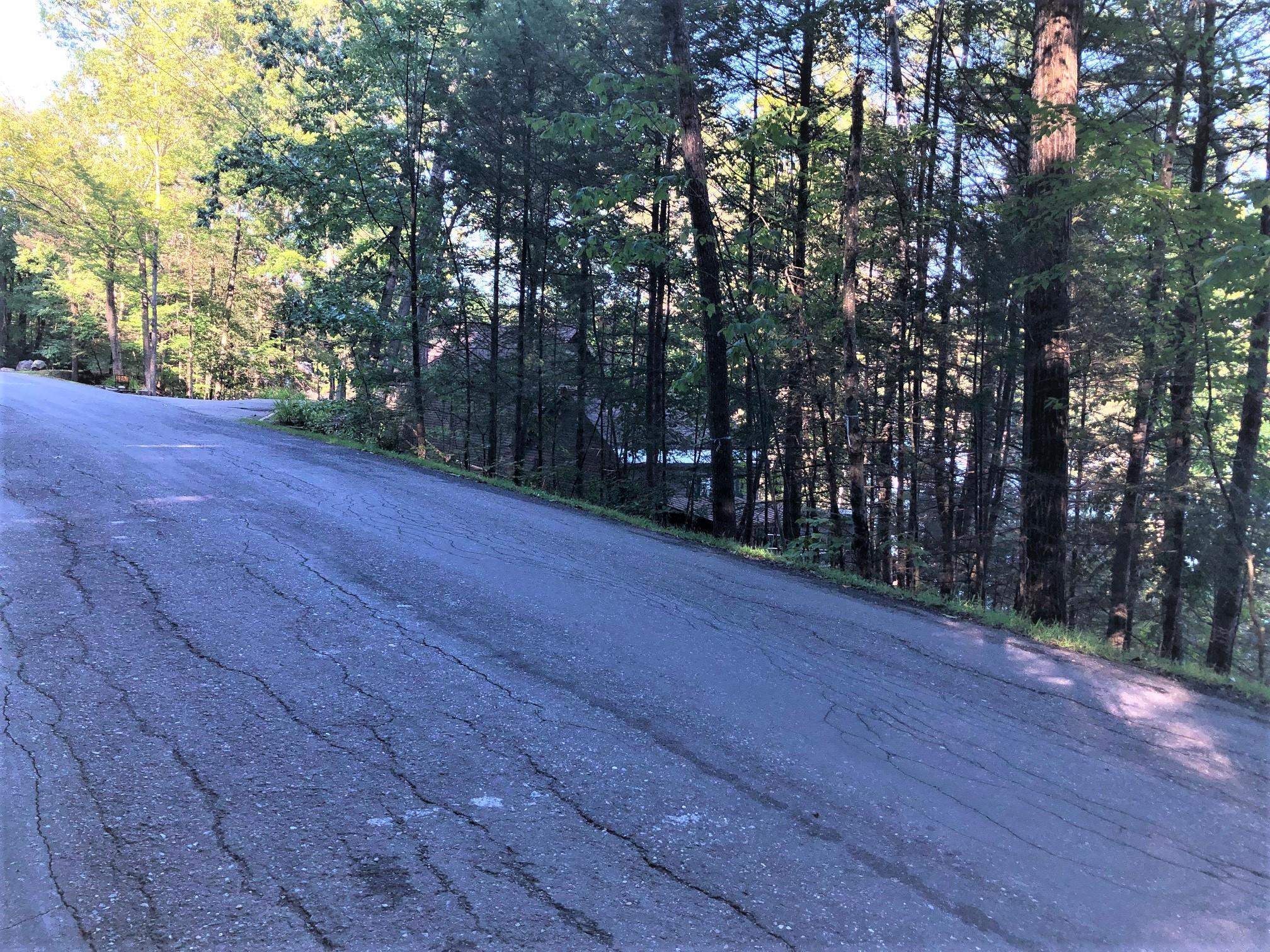 0 North Shore Road Spofford, NH 03462 - Photo 9 of 10