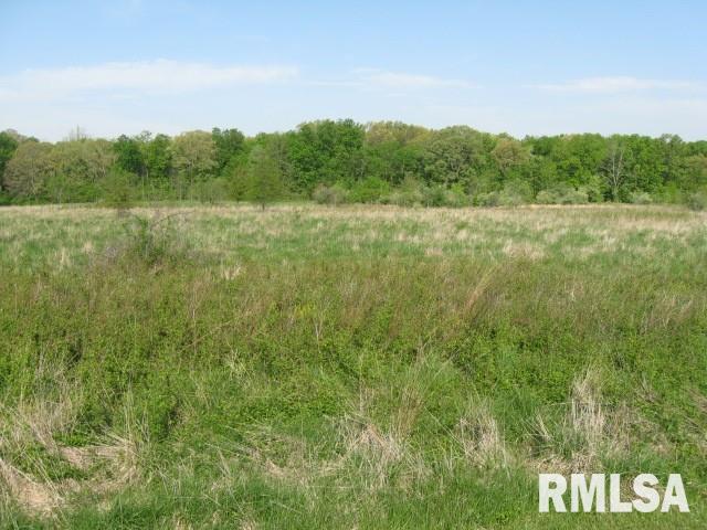 0 Charlton Road Kell, IL 62853 - Photo 1 of 2