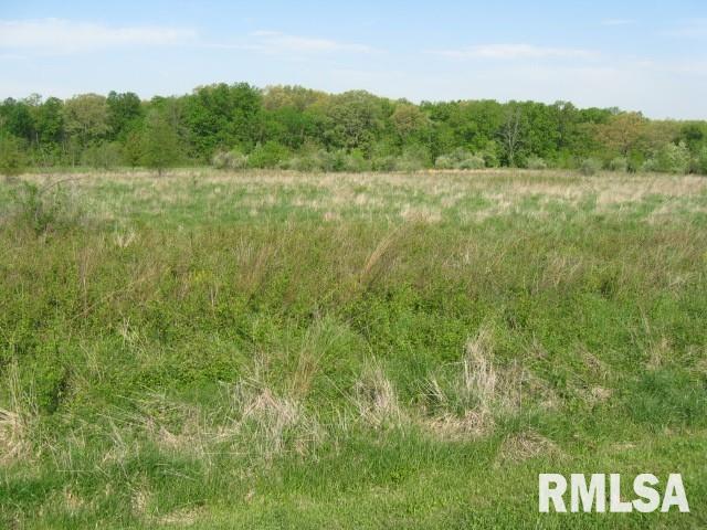 0 Charlton Road Kell, IL 62853 - Photo 2 of 2