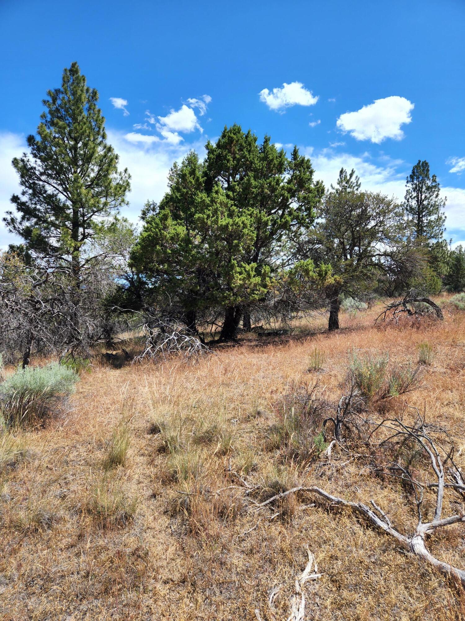 Lot 10 Quarry Circle Beatty, OR 97621 - Photo 12 of 12 Quarry L10