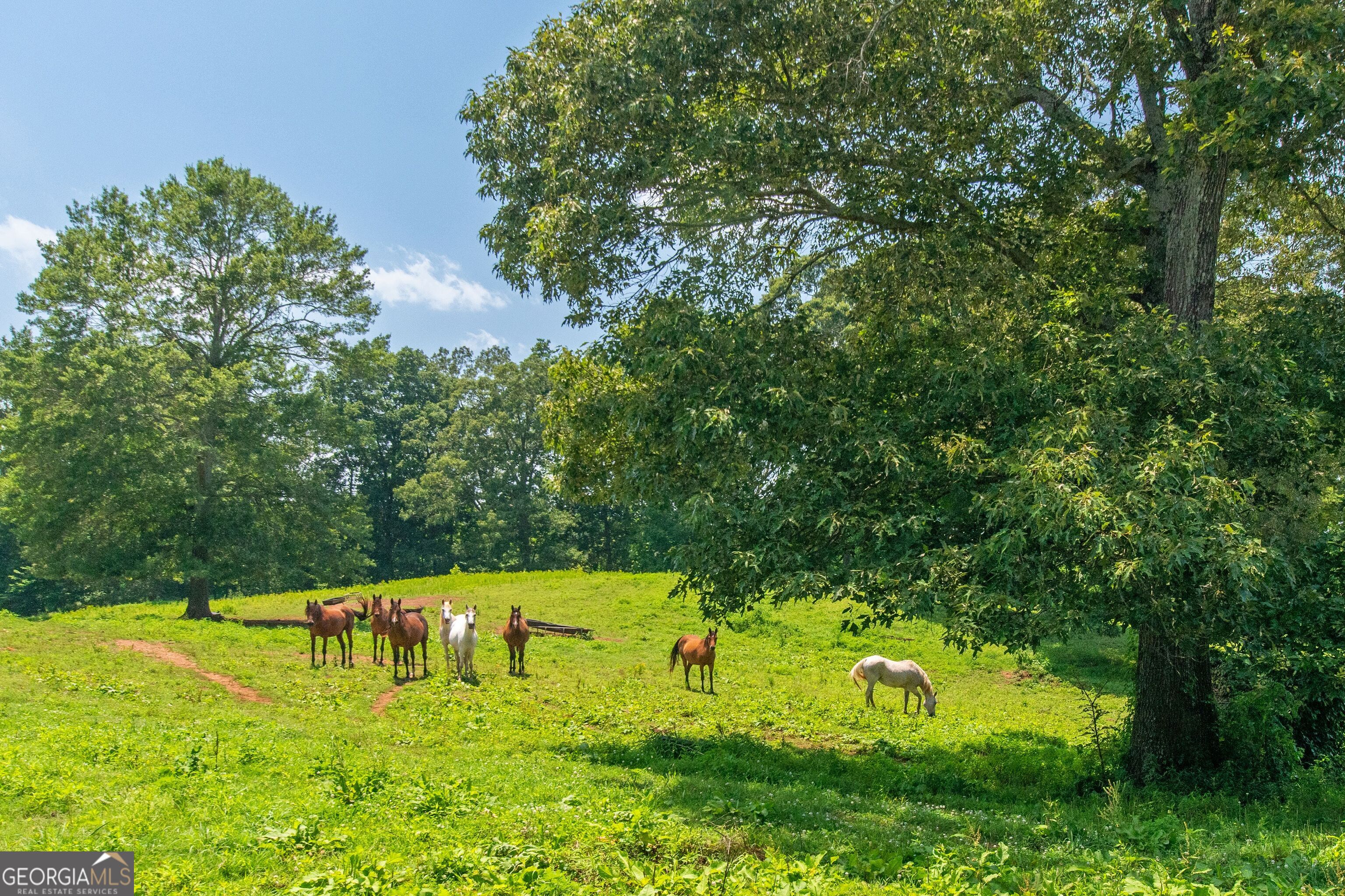 1358 West 5th Highway Roopville, GA 30170 - Photo 21 of 27 a view of an outdoor space and yard