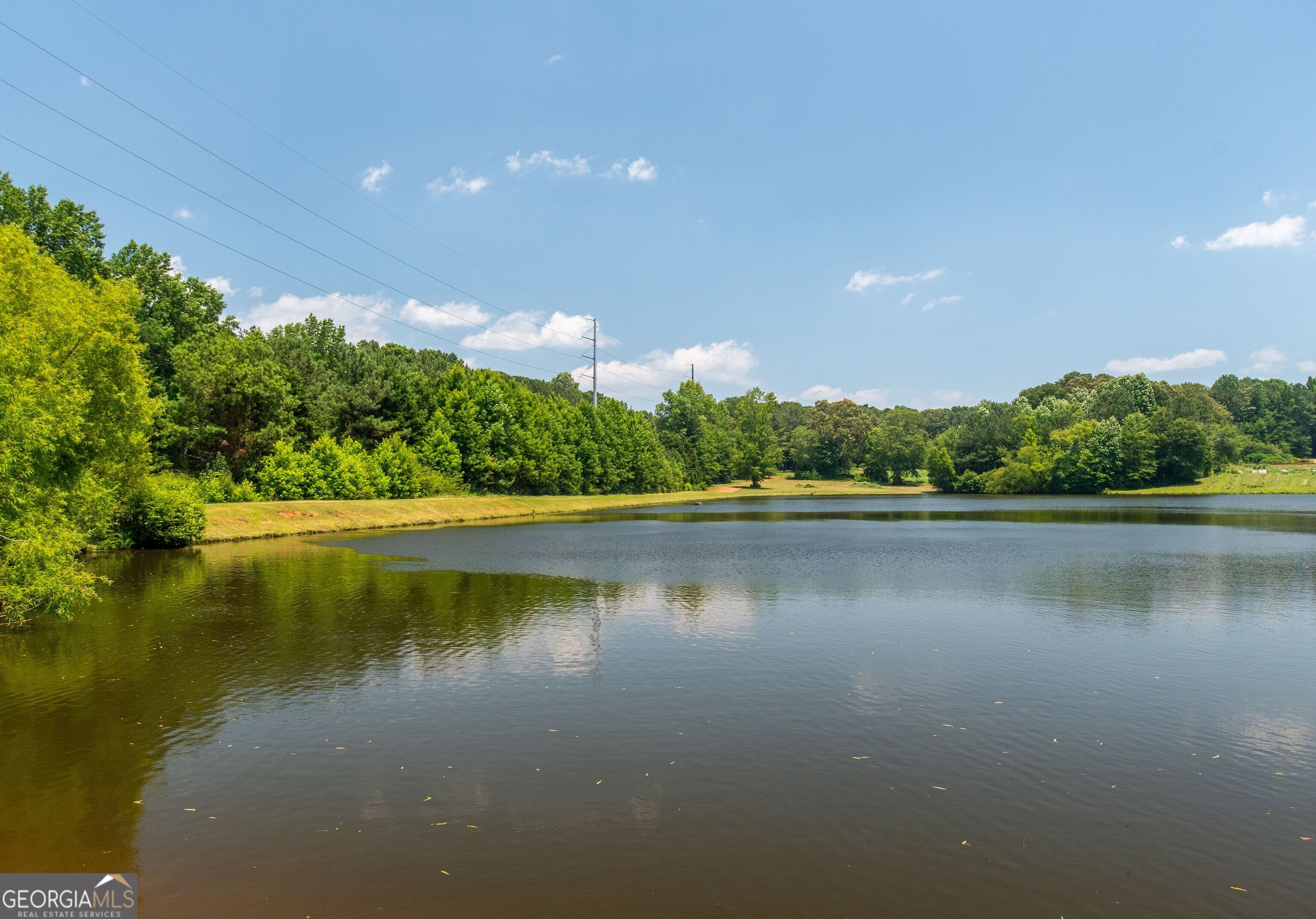 1358 West 5th Highway Roopville, GA 30170 - Photo 25 of 27 a view of a lake with houses in the back