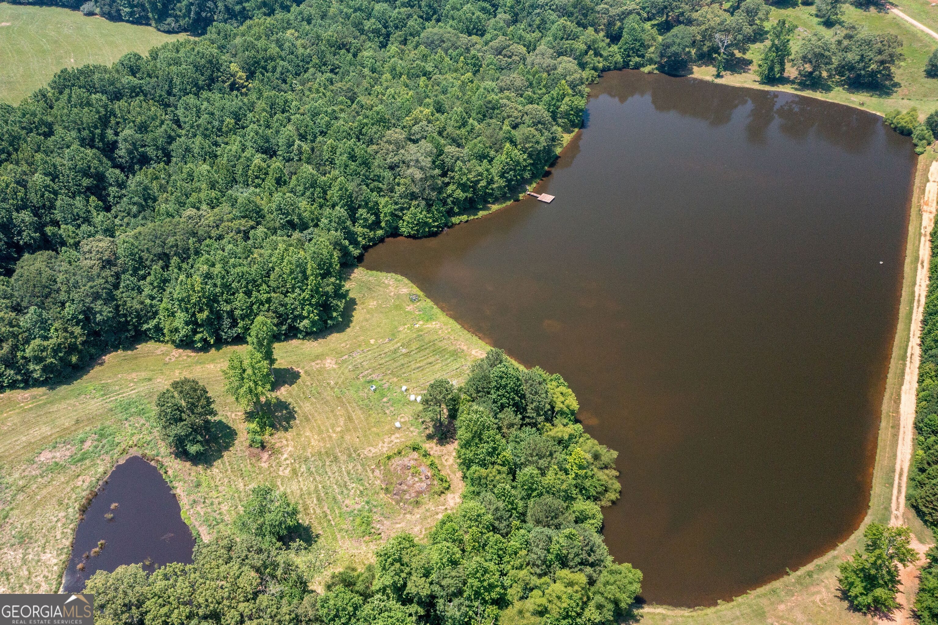 1358 West 5th Highway Roopville, GA 30170 - Photo 26 of 27 an aerial view of a house