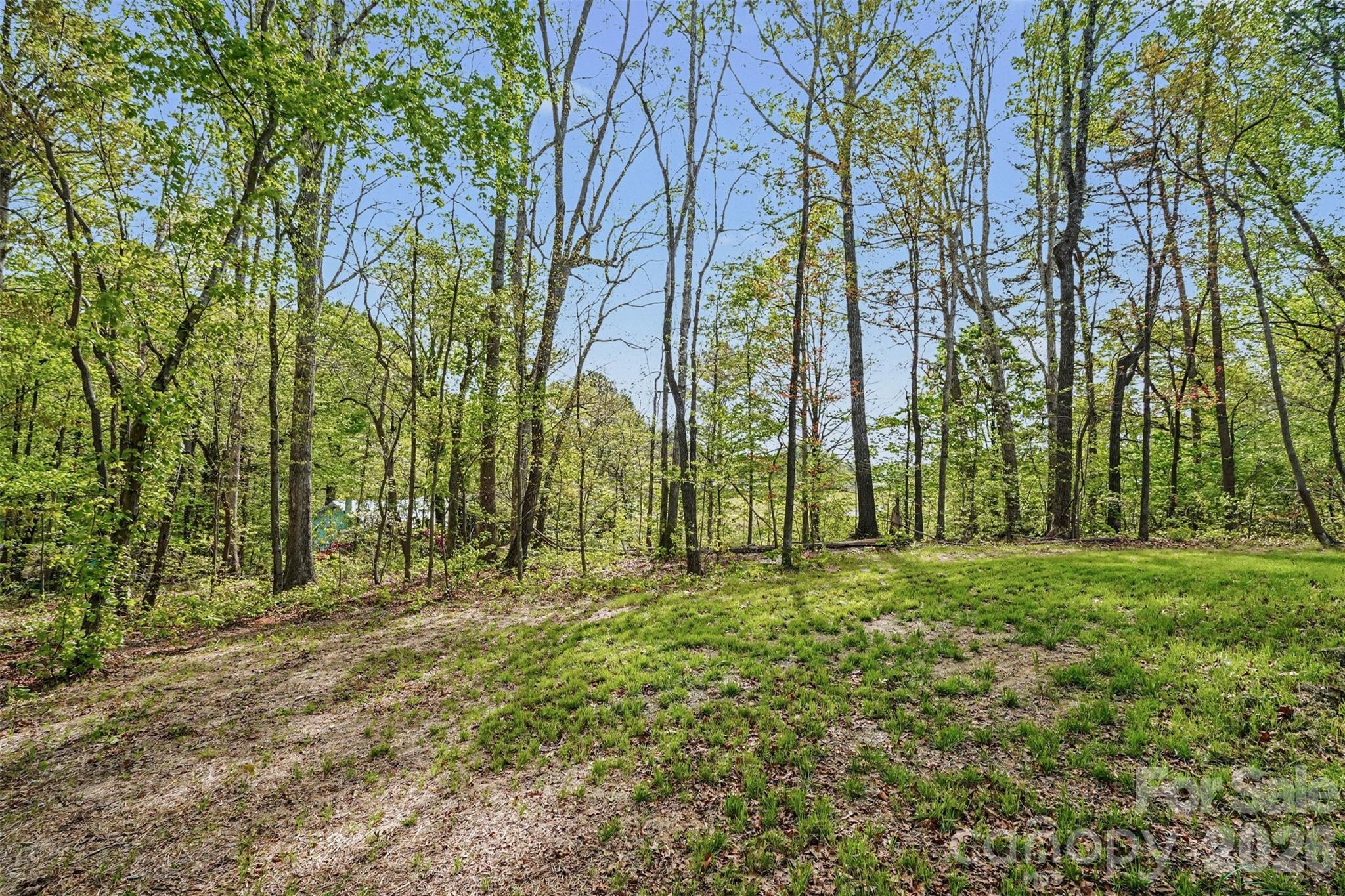 12141 Coyle Road Stanfield, NC 28163 - Photo 5 of 26 a big yard with lots of green space and trees