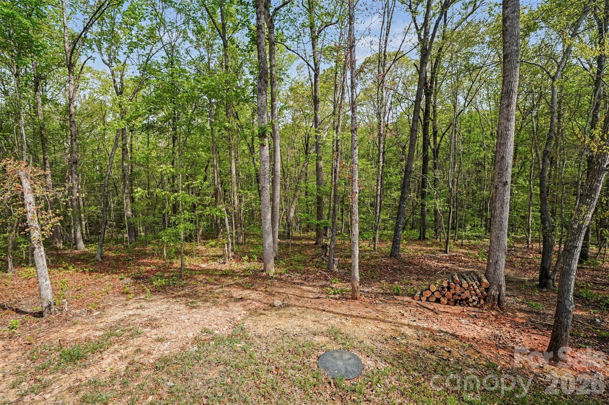 12141 Coyle Road Stanfield, NC 28163 - Photo 6 of 26 a view of outdoor space and trees