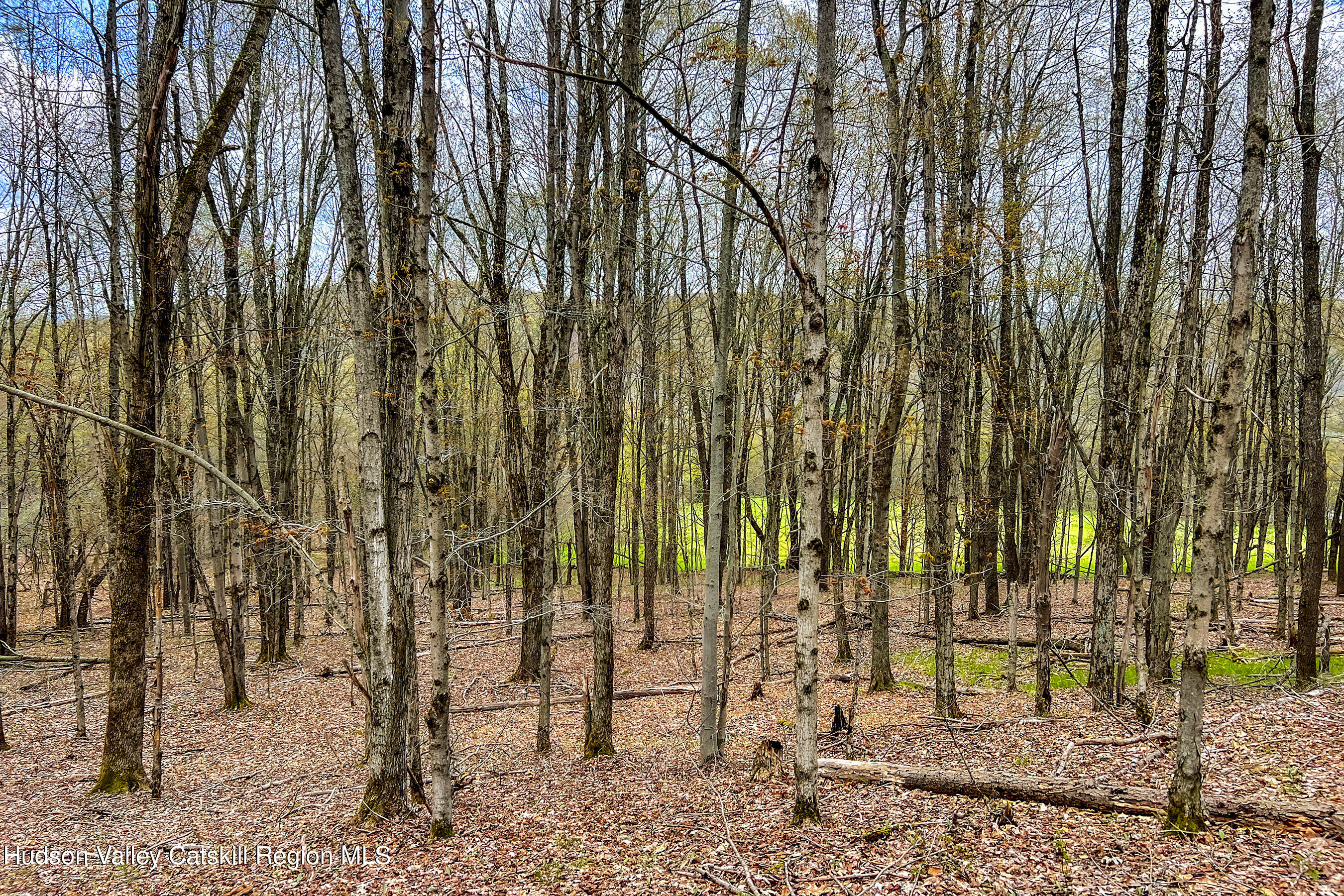 0 Brownell Road Bloomville, NY 13739 - Photo 19 of 39 23 acres Brownell Rd -- 017