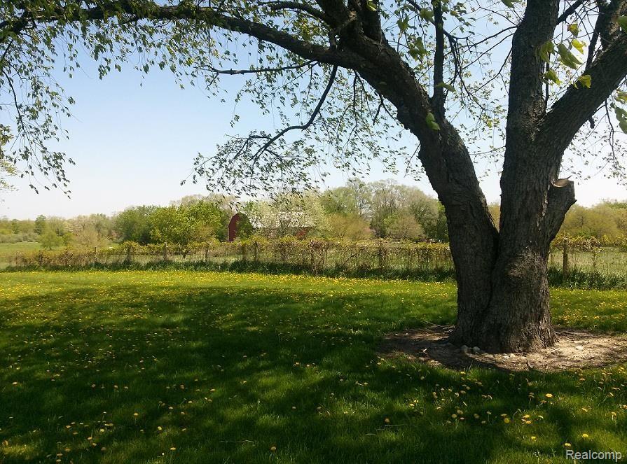 11170 Rustic Rdg Lane Fenton, MI 48430 - Photo 19 of 19 Yard Rustic.jpg