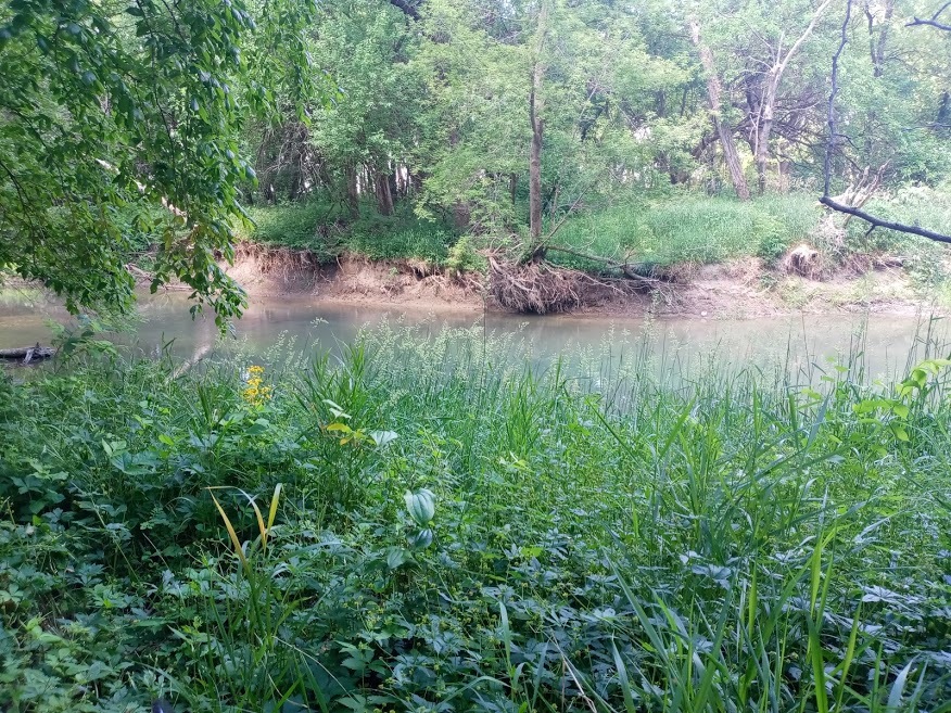7000 East Scully Road Gardner, IL 60424 - Photo 9 of 15 a view of a lake with a park