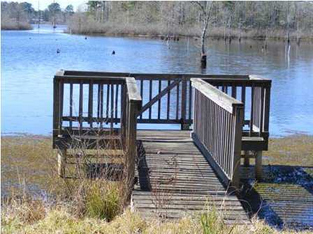 761 Emory Landing Road, Unit LANDING(S) Deridder, LA 70634 - Photo 12 of 21 Additional Photo