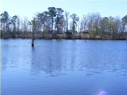 761 Emory Landing Road, Unit LANDING(S) Deridder, LA 70634 - Photo 16 of 21 Additional Photo