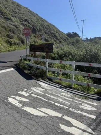 a view of a garden with wooden fence