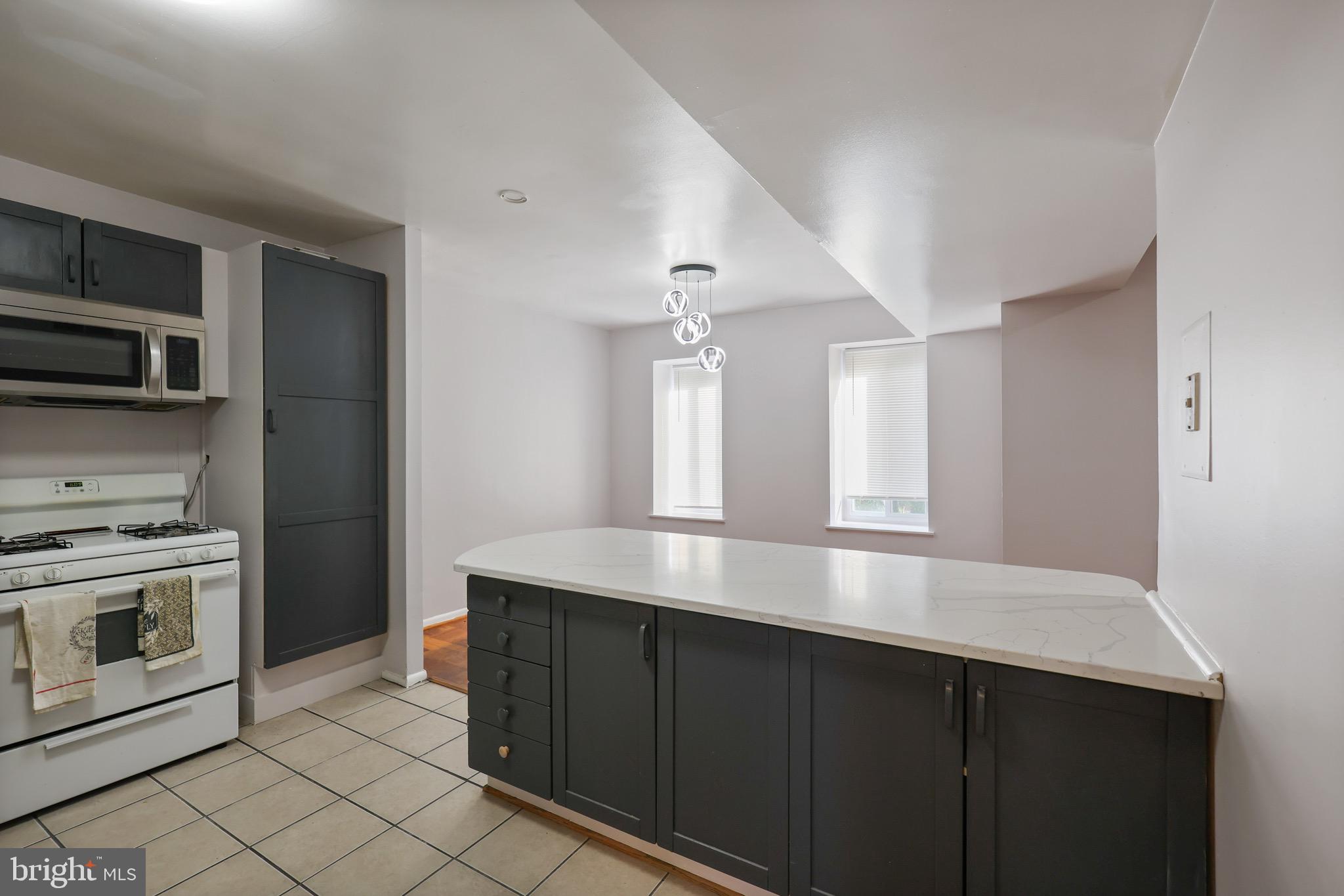 5050 7th Road South, Unit 301 Arlington, VA 22204 - Photo 11 of 20 a kitchen with a sink cabinets and stainless steel appliances
