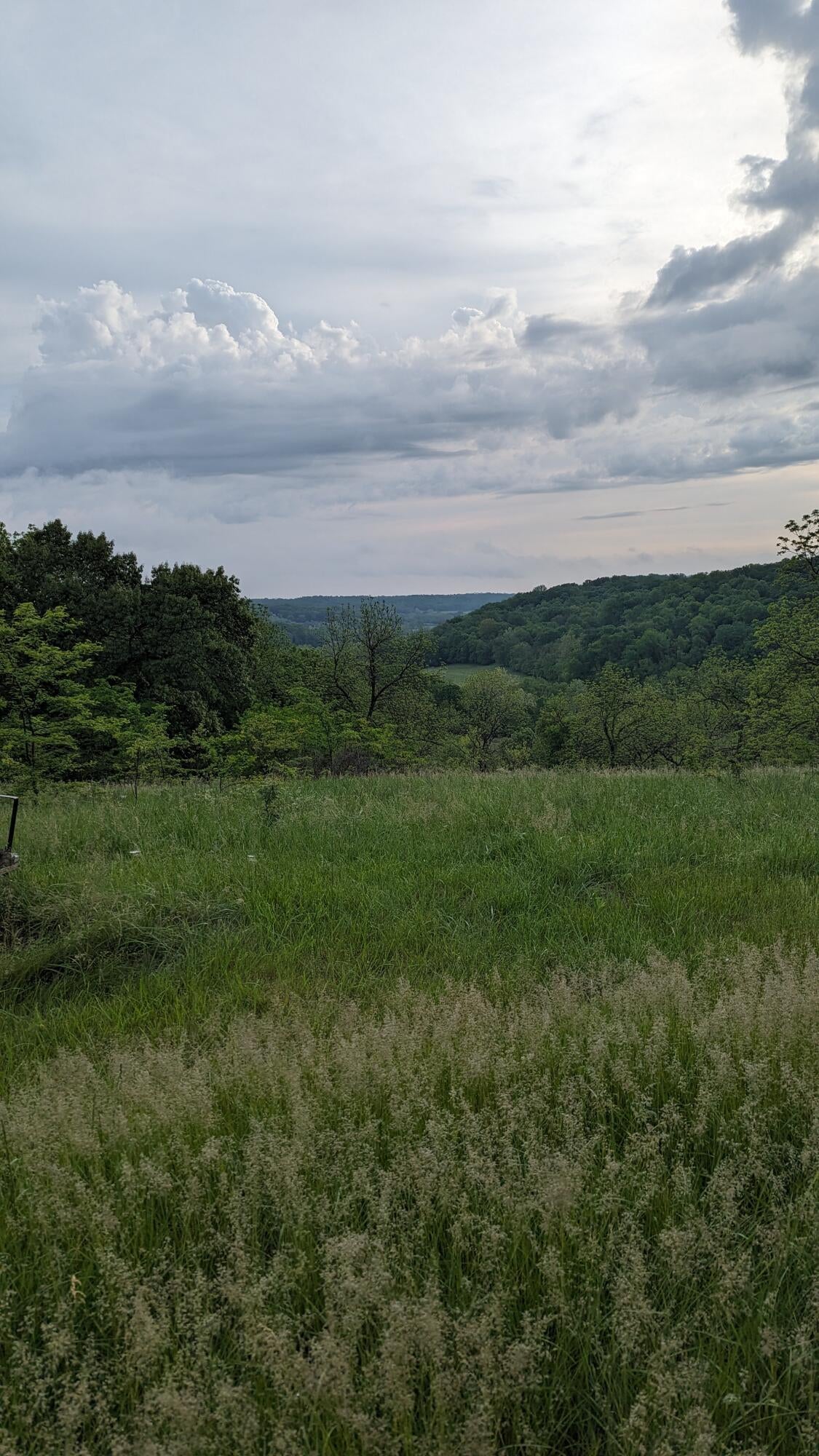 Tbd Harris Road Jamestown, MO 65046 - Photo 3 of 7 Gallery Image 3