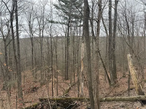 $84,900 | Winding Stair Road, Hammondsport, NY 14840