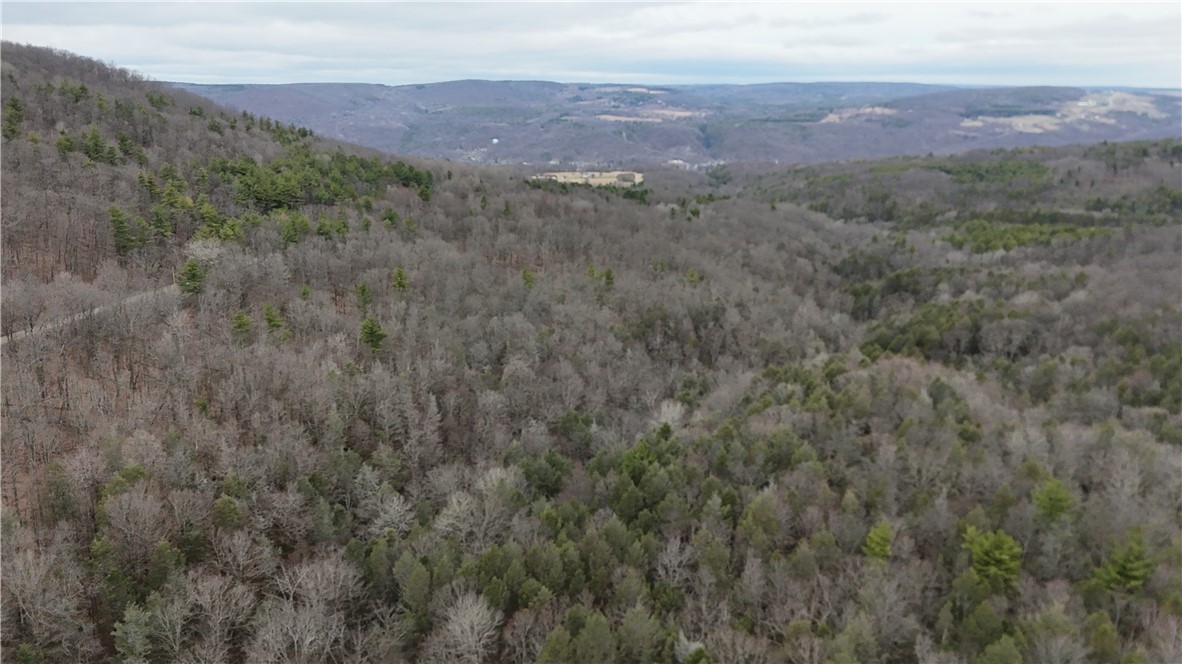 Winding Stair Road Hammondsport, NY 14840 - Photo 11 of 16