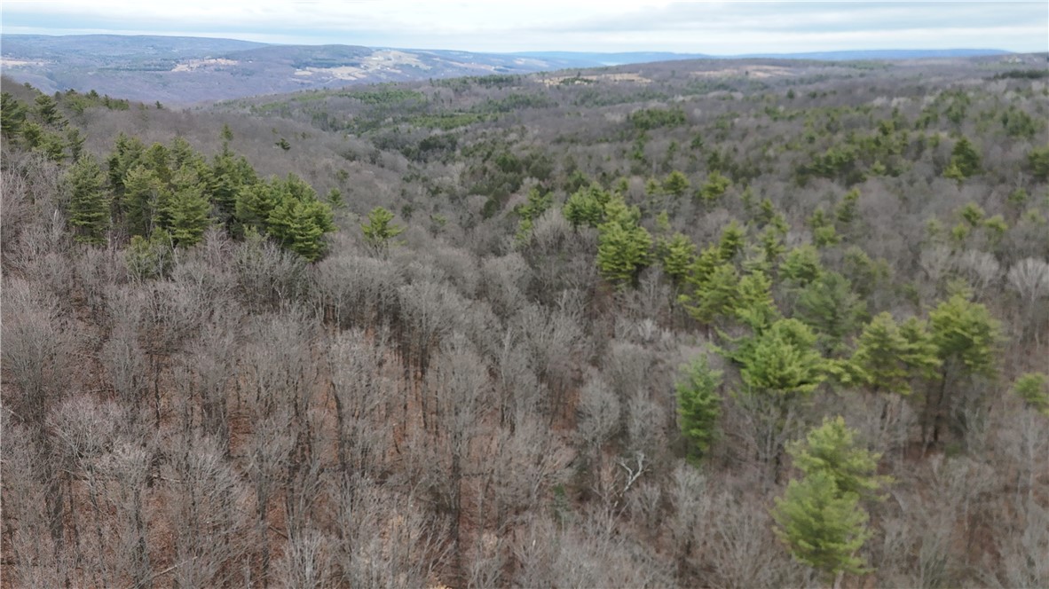 Winding Stair Road Hammondsport, NY 14840 - Photo 12 of 16