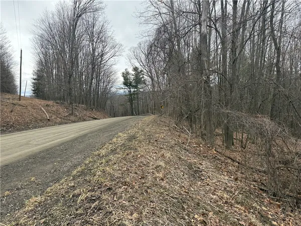 $84,900 | Winding Stair Road, Hammondsport, NY 14840