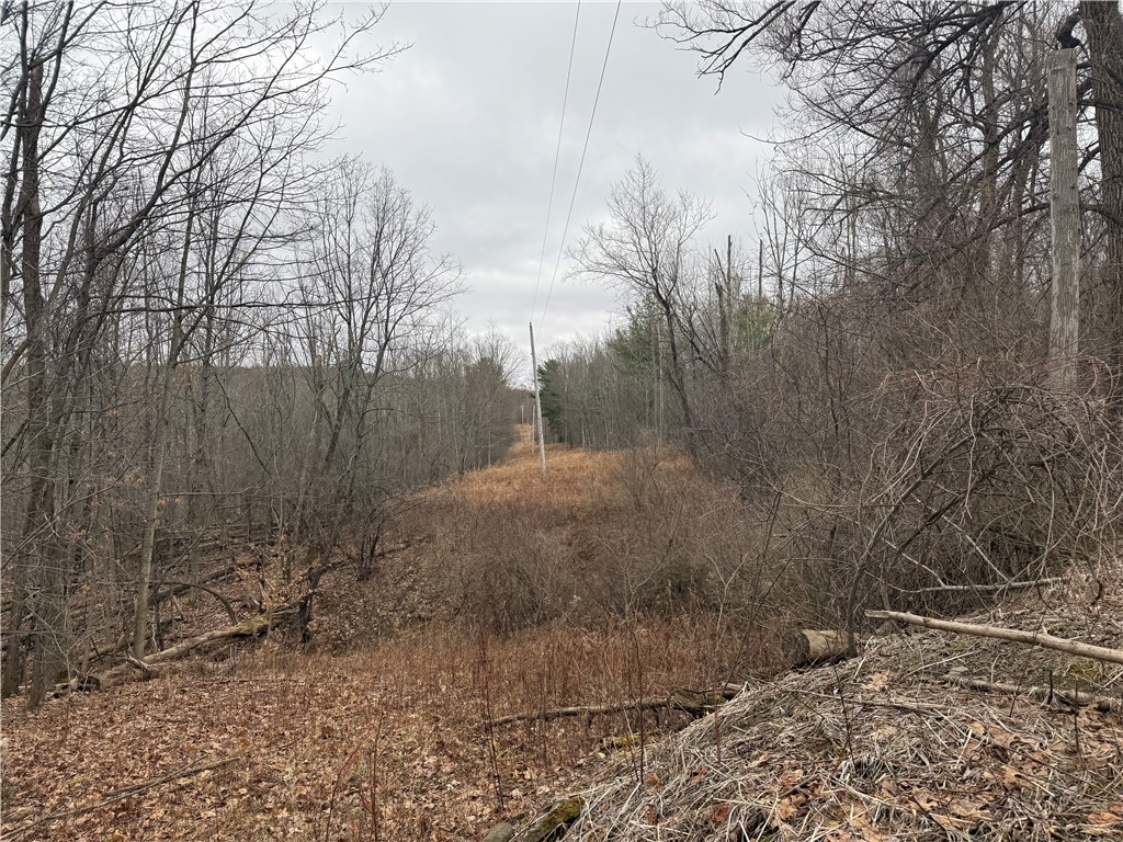 Winding Stair Road Hammondsport, NY 14840 - Photo 3 of 16