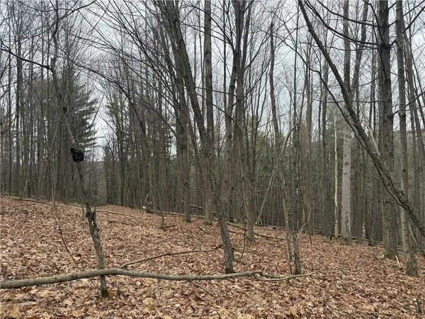 $84,900 | Winding Stair Road, Hammondsport, NY 14840