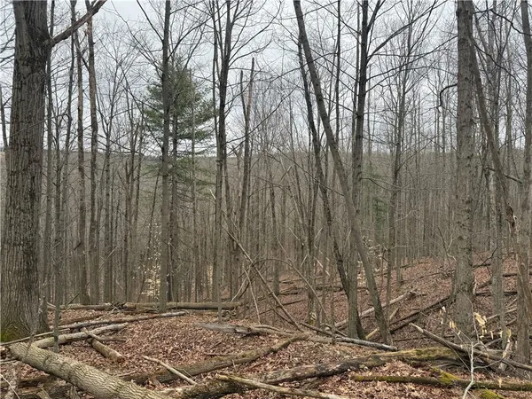 $84,900 | Winding Stair Road, Hammondsport, NY 14840