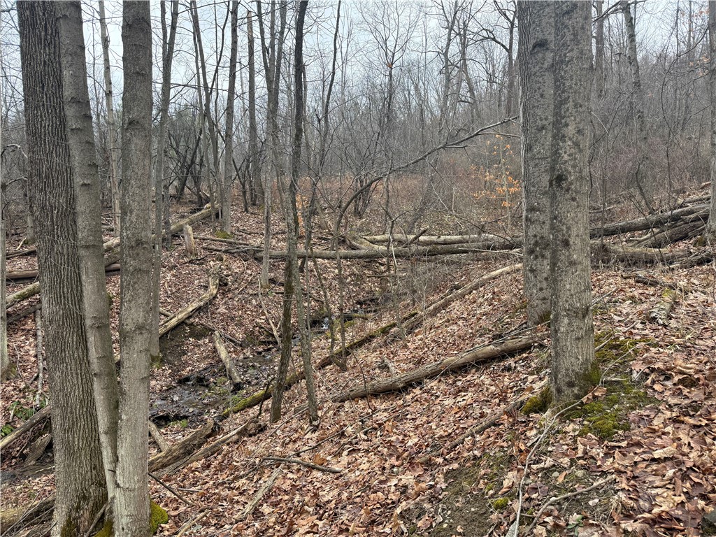 Winding Stair Road Hammondsport, NY 14840 - Photo 6 of 16