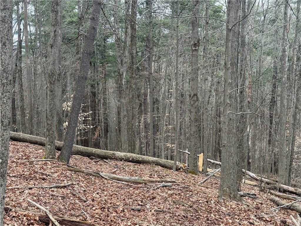 Winding Stair Road Hammondsport, NY 14840 - Photo 7 of 16