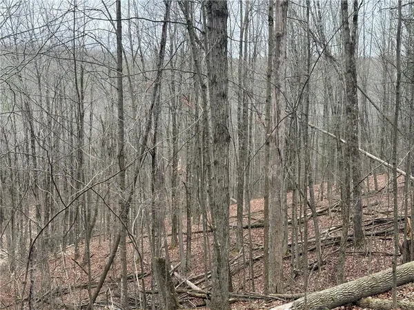 $84,900 | Winding Stair Road, Hammondsport, NY 14840