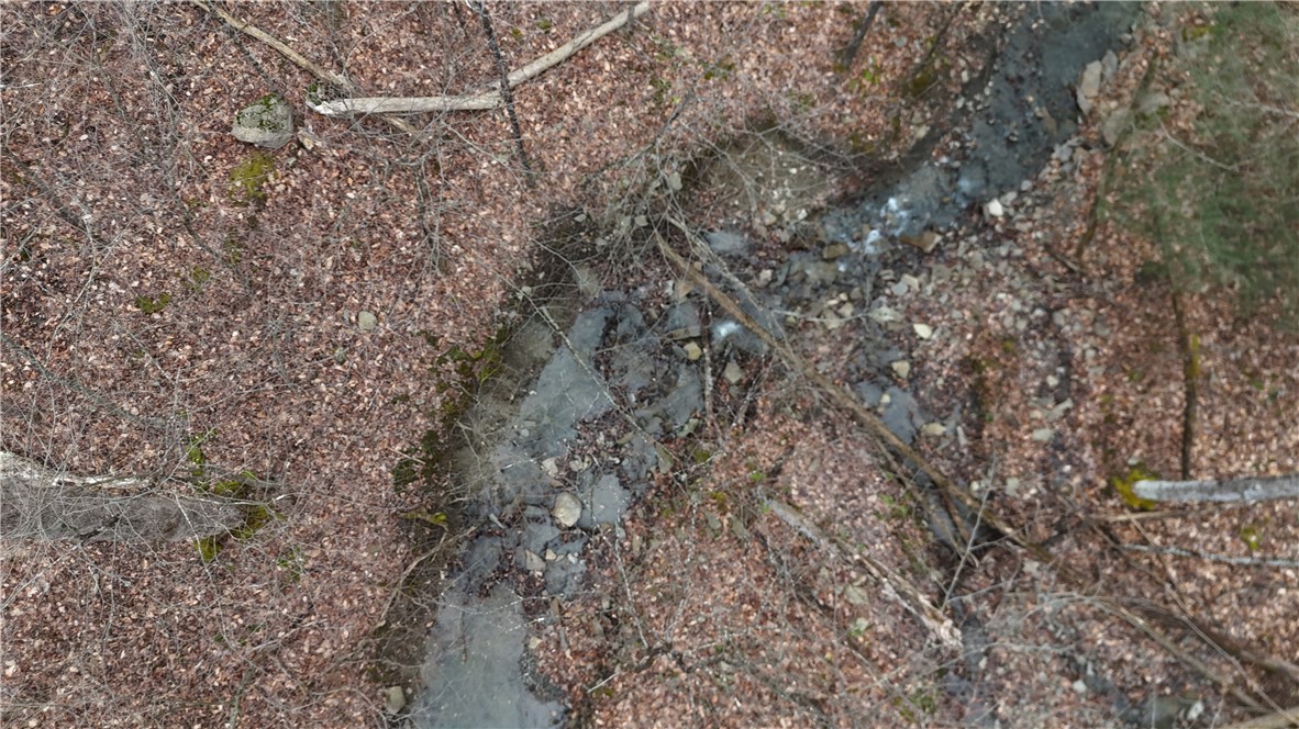 Winding Stair Road Hammondsport, NY 14840 - Photo 9 of 16