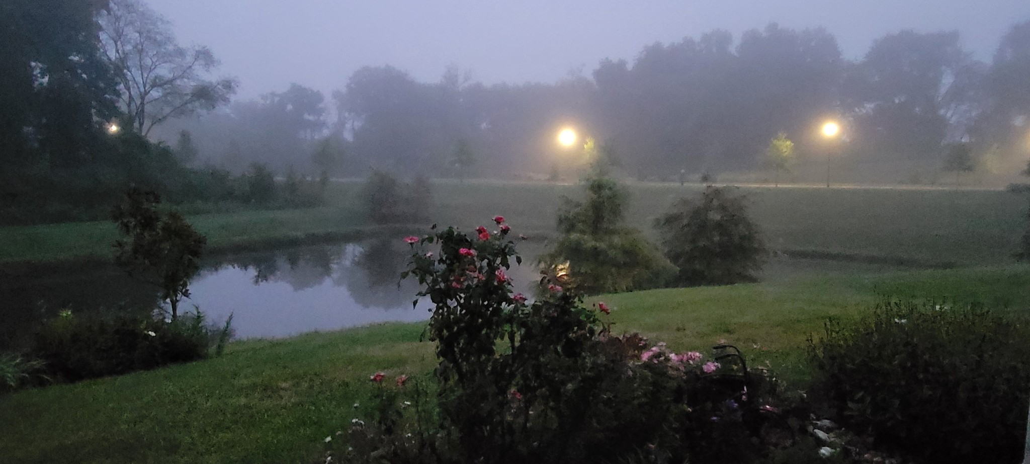 2124 Loudon Hill Spring Hill, TN 37174 - Photo 8 of 73