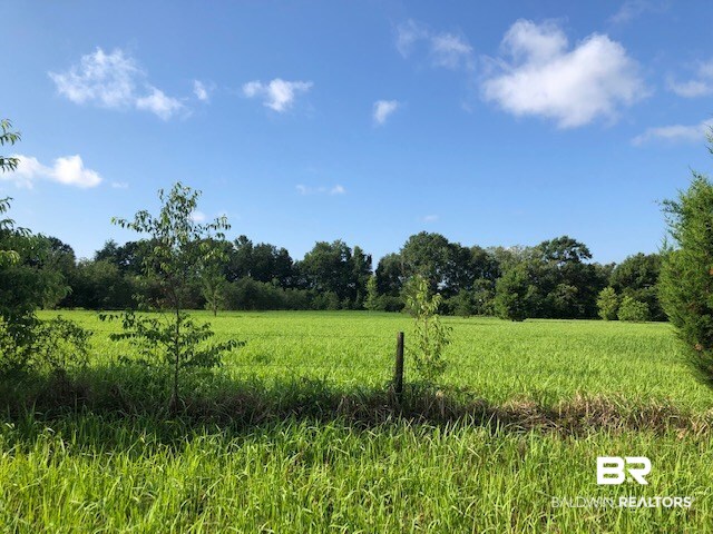 0 Beasley Road Foley, AL 36535 - Photo 13 of 29