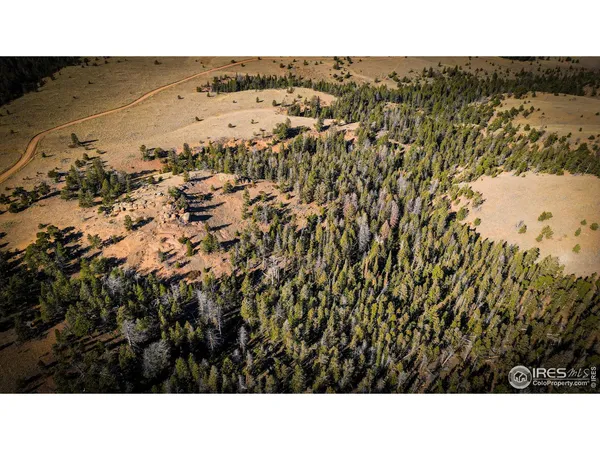 $215,000 | 0 Wilderness Ranch Road, Livermore, CO 80536