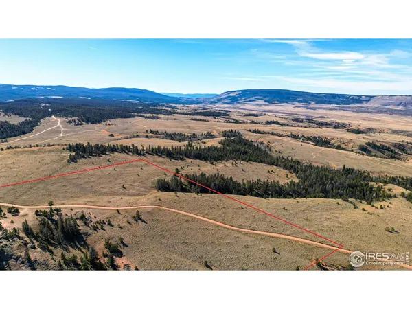 a view of a dry yard with wooden fence