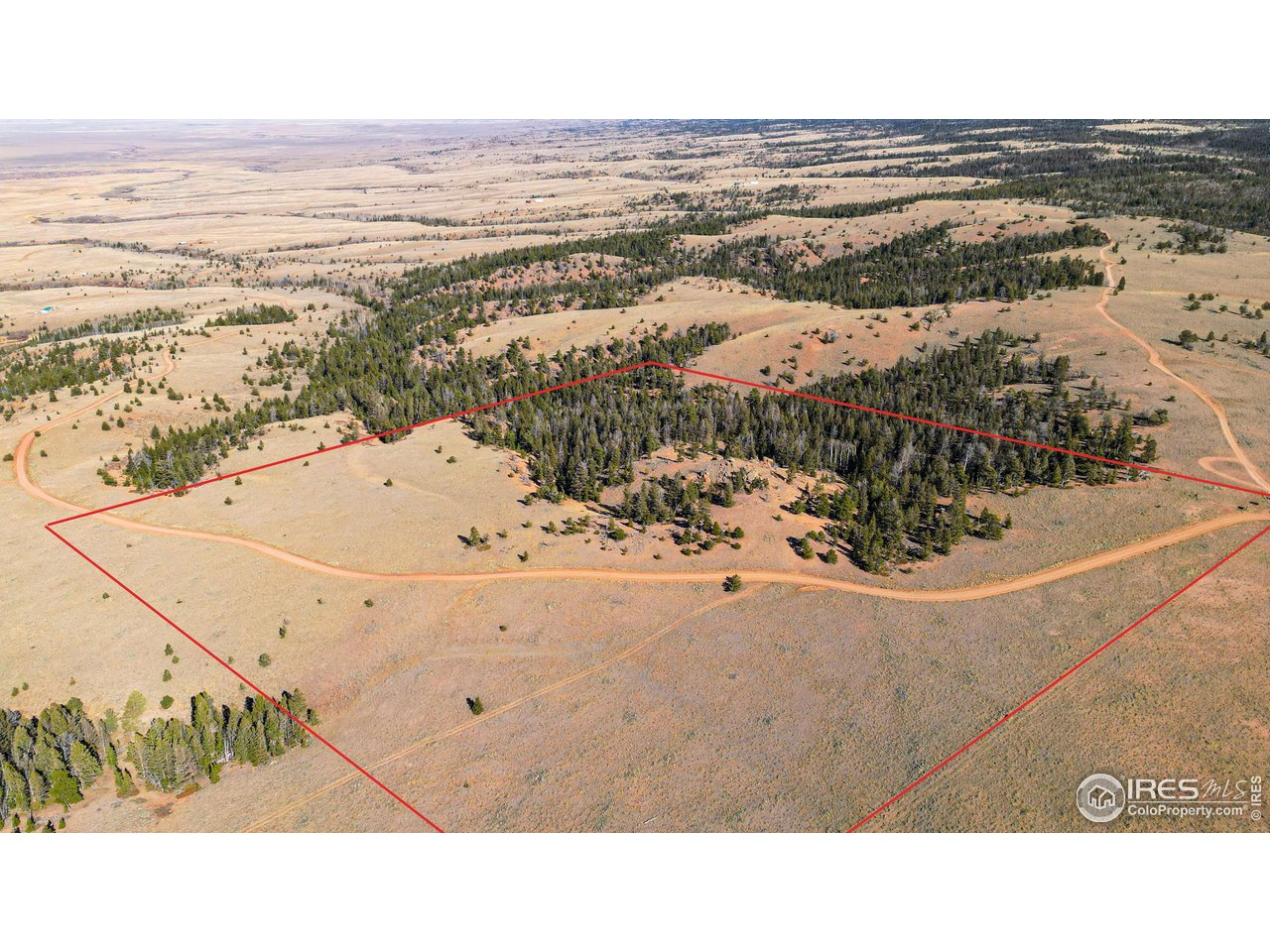 0 Wilderness Ranch Road Livermore, CO 80536 - Photo 10 of 16 a black and white photo of a beach