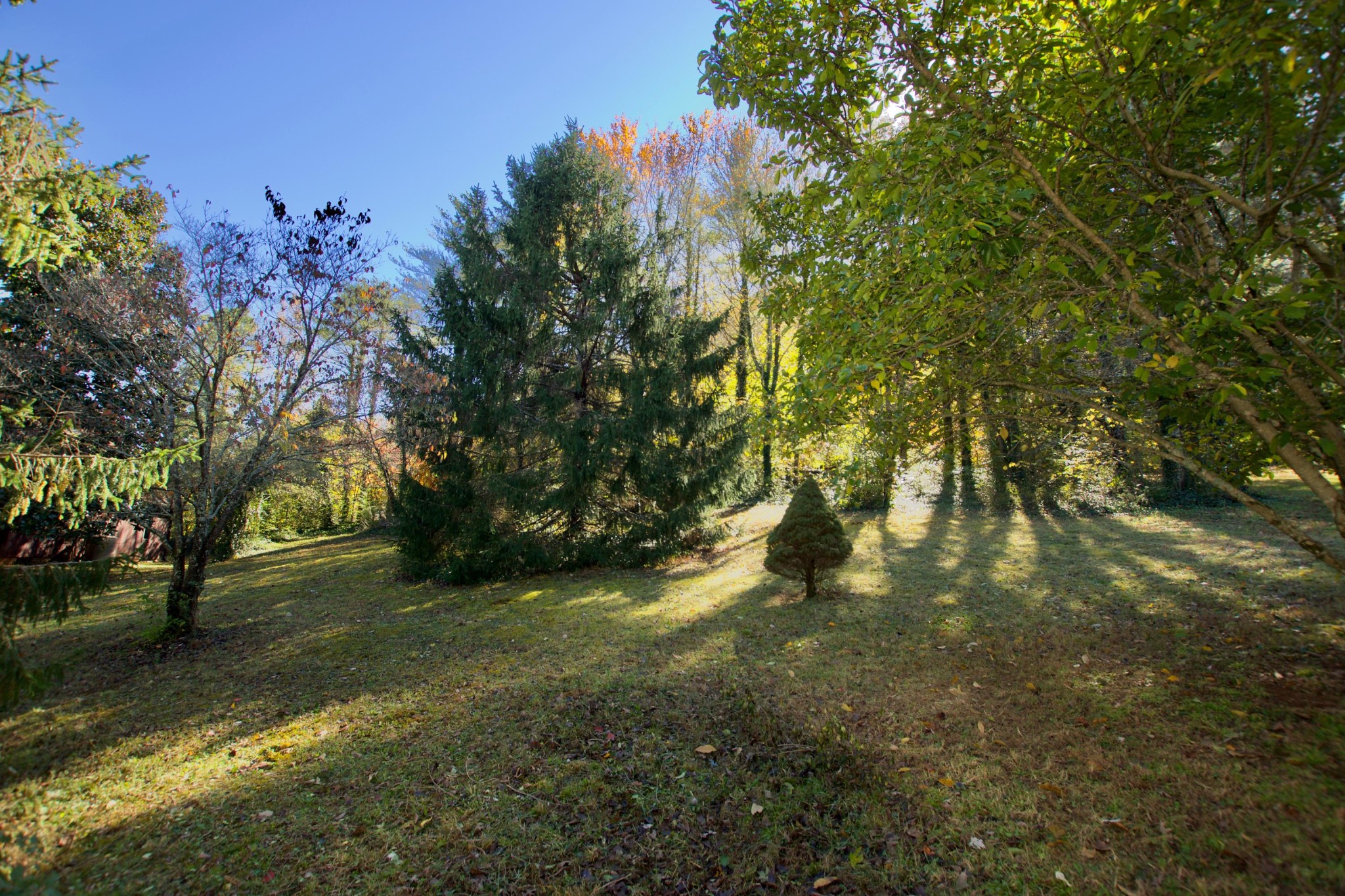 0 East Chestnut Hill Road Townsend, TN 37882 - Photo 4 of 7 Gallery Image 4