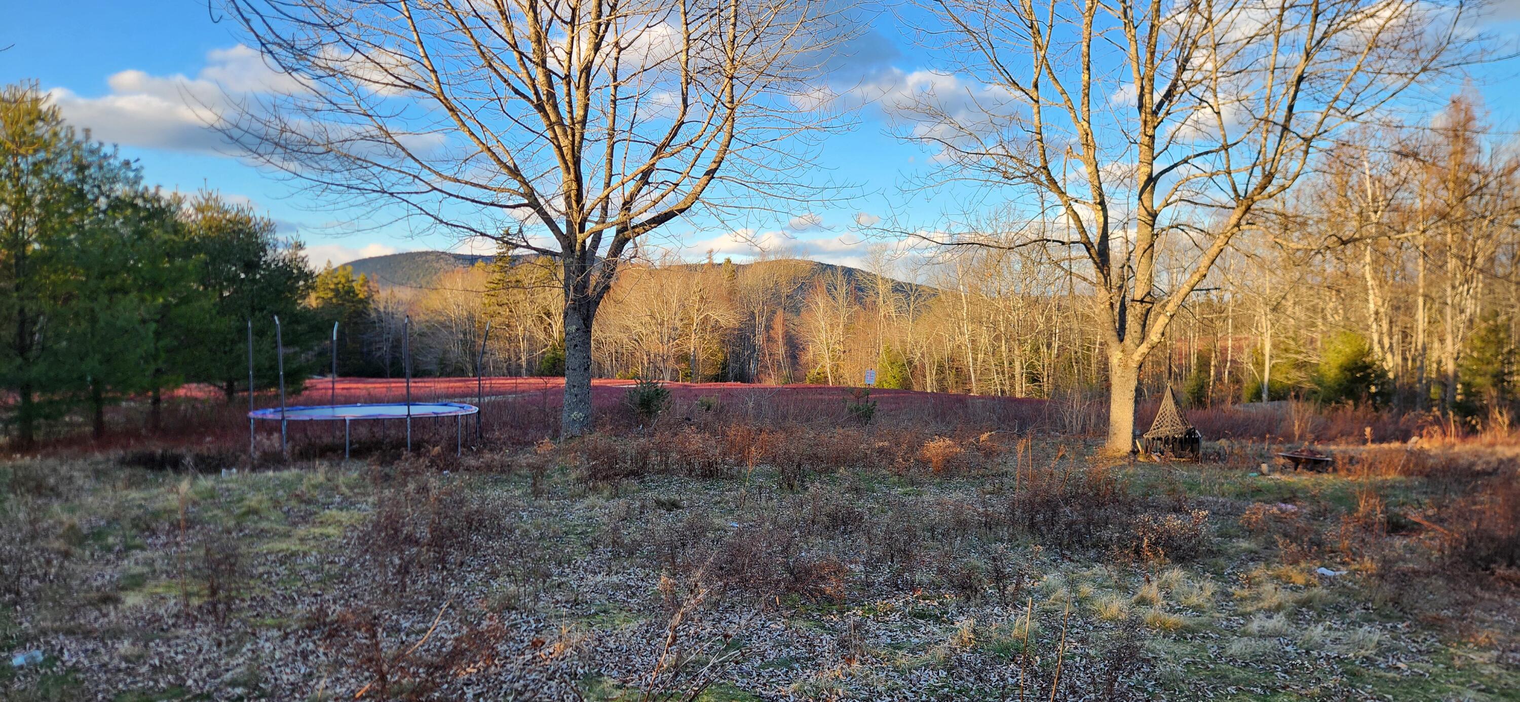 1024 Tunk Lake Road Sullivan, ME 04664 - Photo 2 of 25 20241213_150301