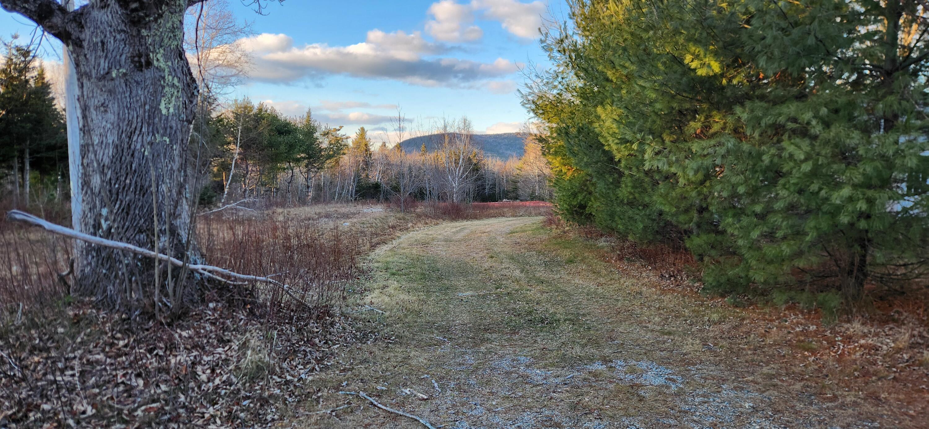 1024 Tunk Lake Road Sullivan, ME 04664 - Photo 24 of 25 20241213_150519