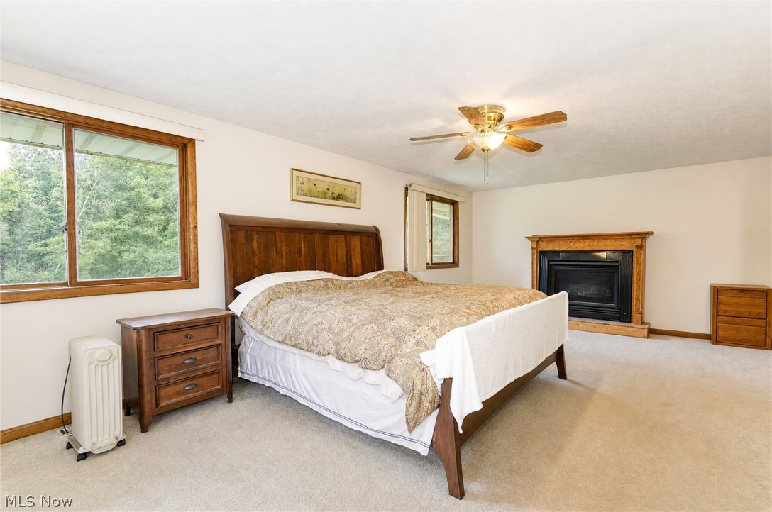 11226 Sperry Road Chesterland, OH 44026 - Photo 20 of 38 Master bedroom