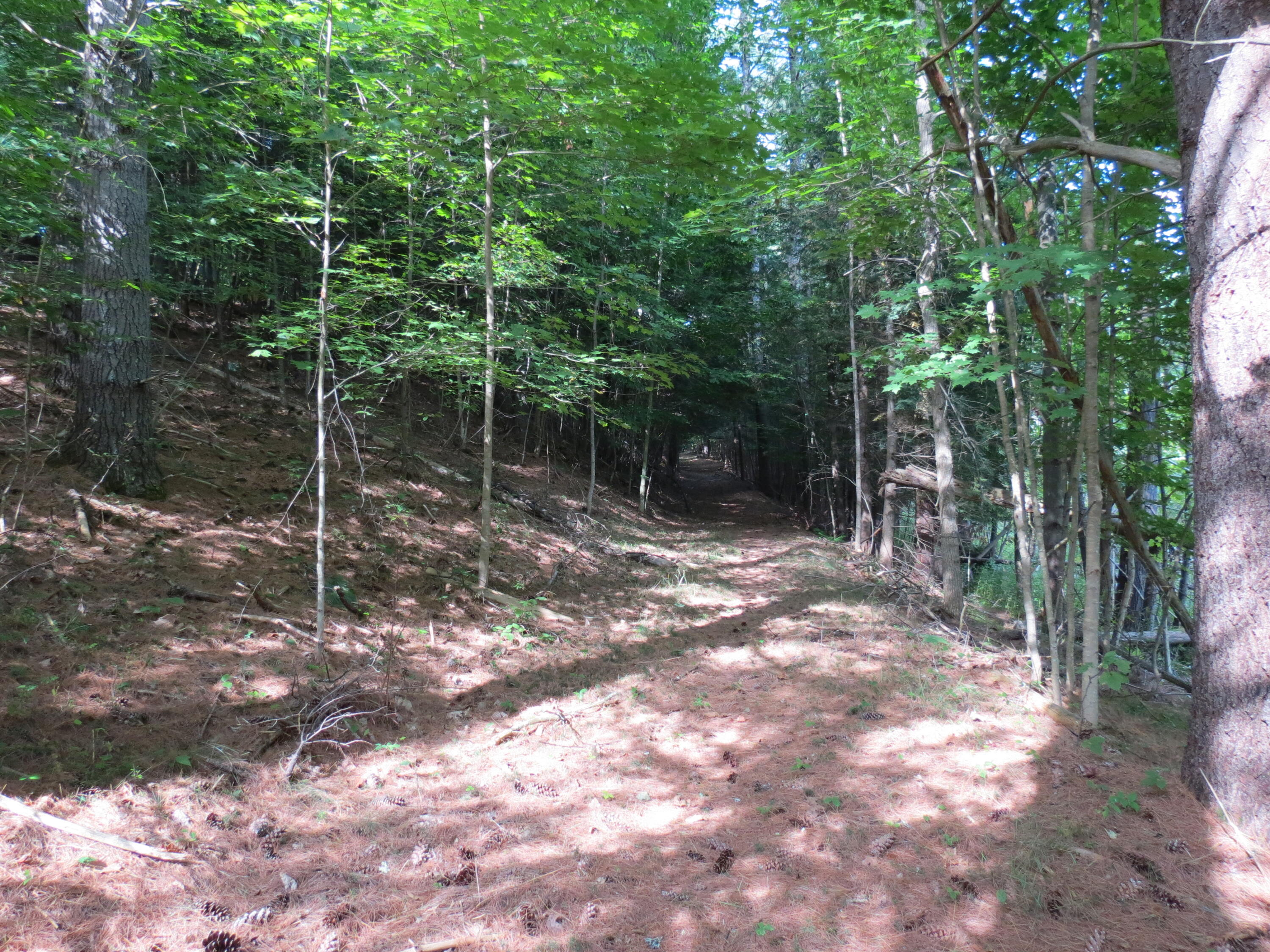87 Trumbulls Road Jay, NY 12941 - Photo 27 of 38 Gallery Image 27