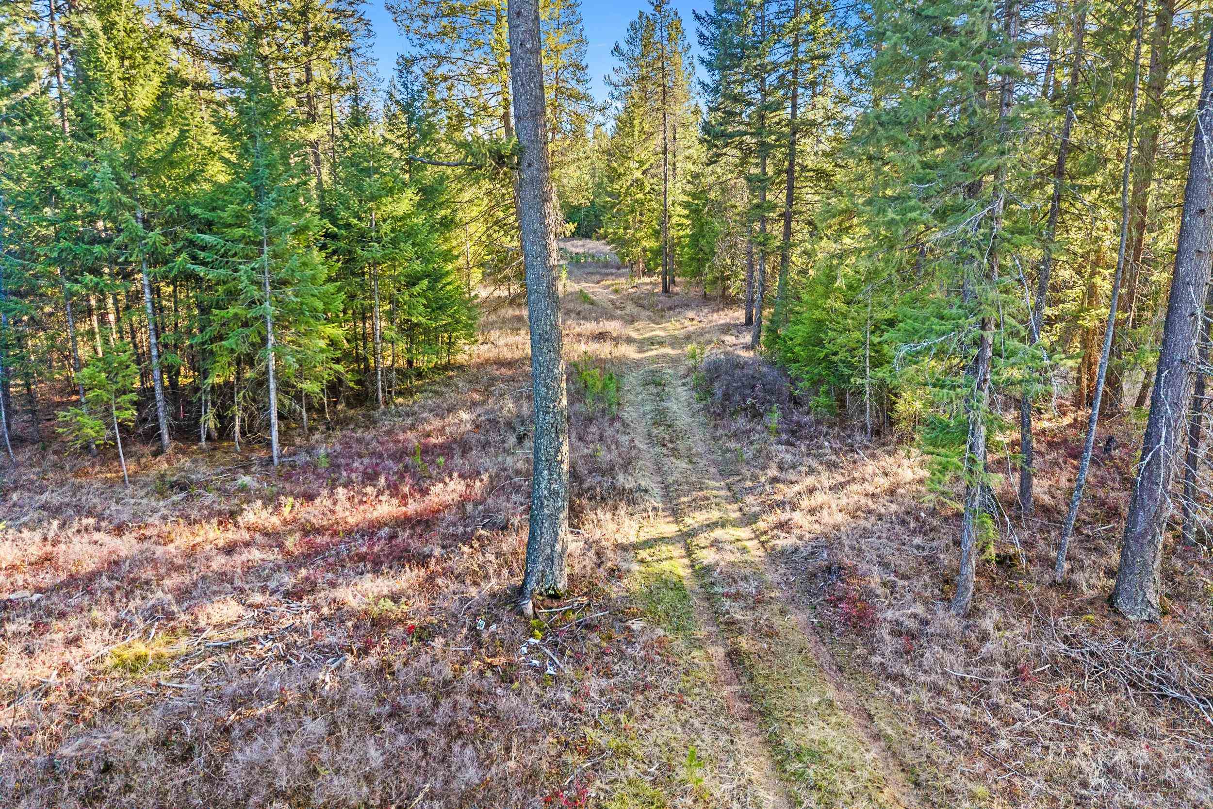 12818 East Bridges Road Elk, WA 99009 - Photo 2 of 25