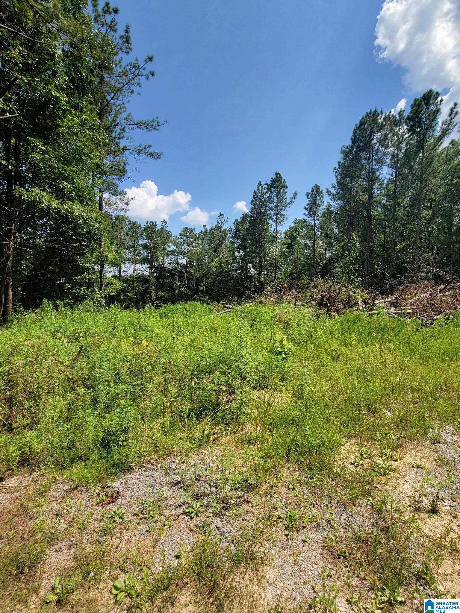 499 Sweet Apple Road Cropwell, AL 35054 - Photo 6 of 9