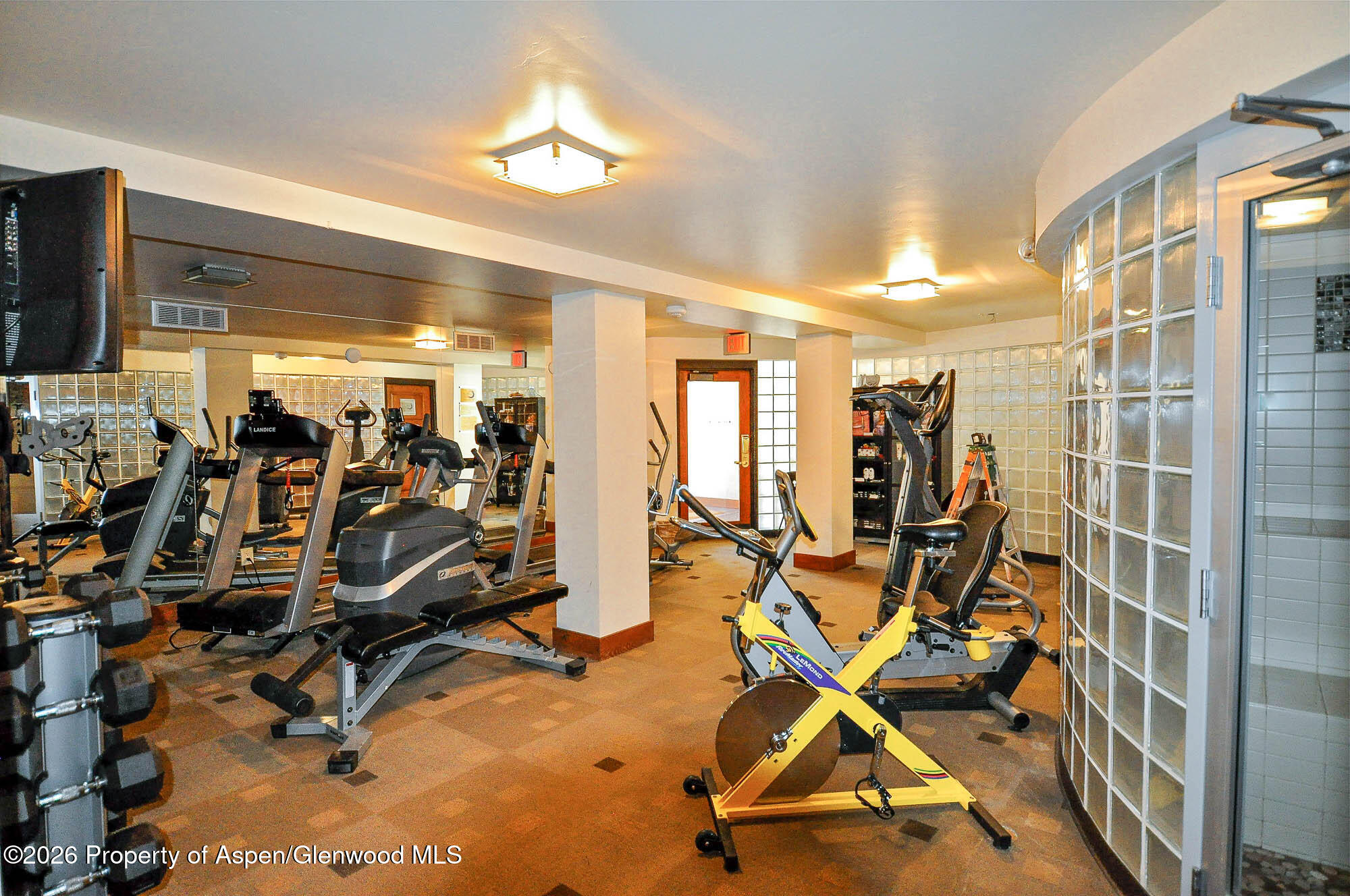 400 Wood Road, Unit 1204 Snowmass Village, CO 81615 - Photo 27 of 28 gym