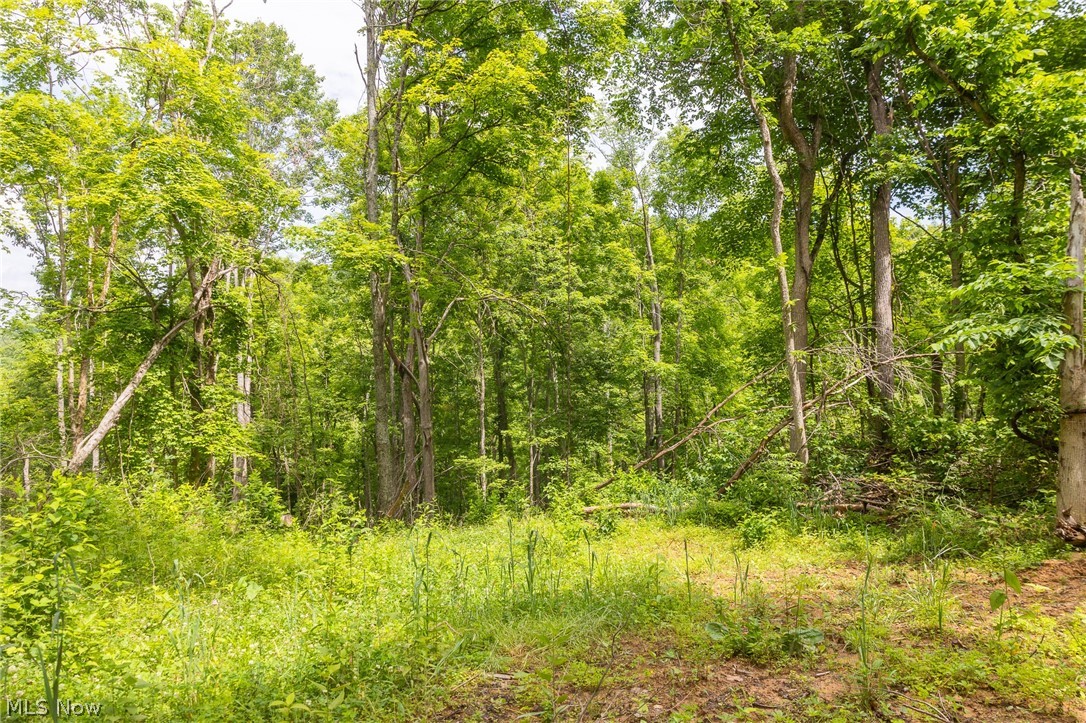 Kinnen Road Caldwell, OH 43724 - Photo 15 of 37