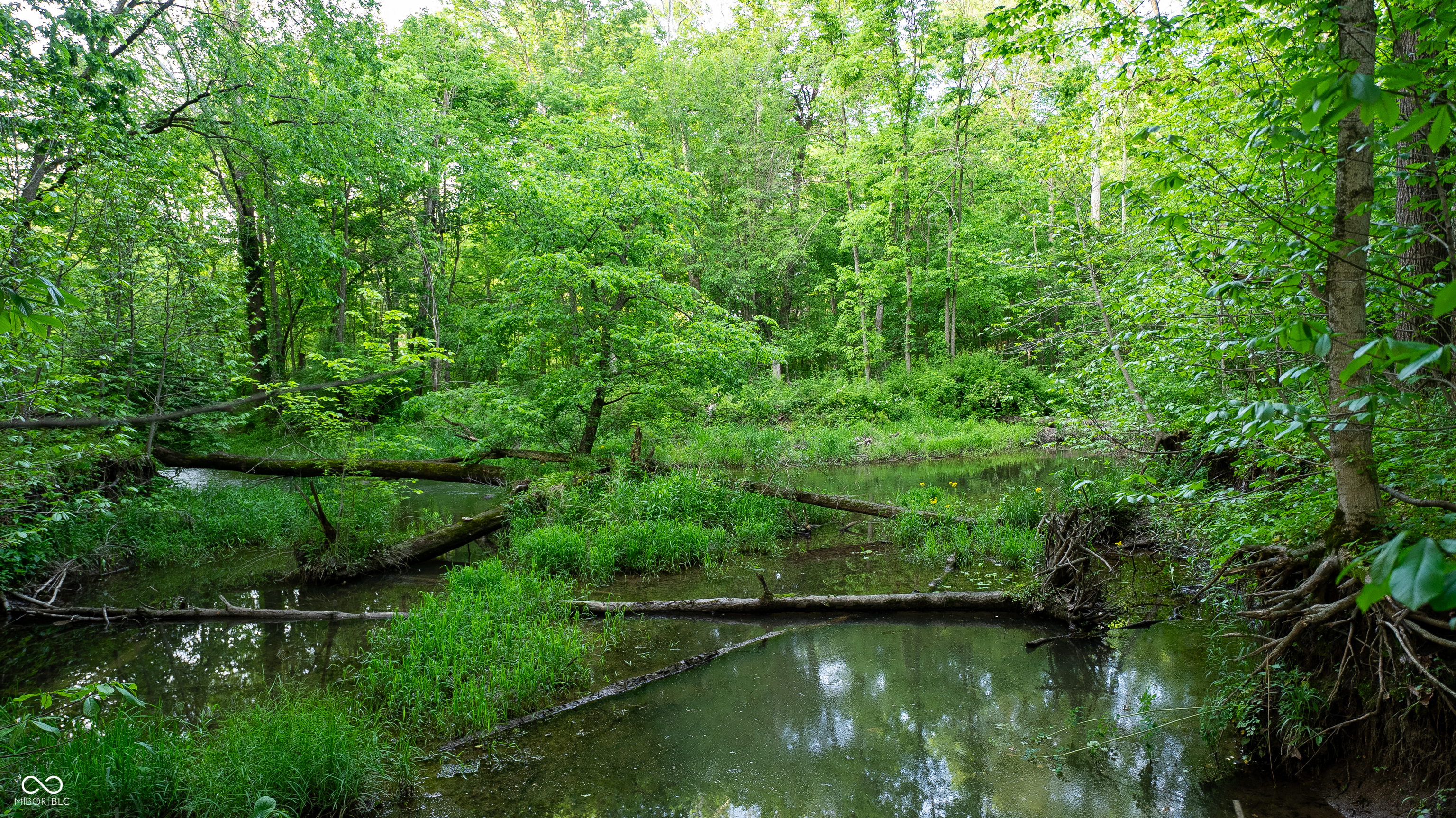 910 South 800 E Road Zionsville, IN 46075 - Photo 95 of 109