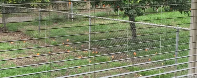 $299,500 | 358 Waxwood Lane, San Antonio, TX 78216