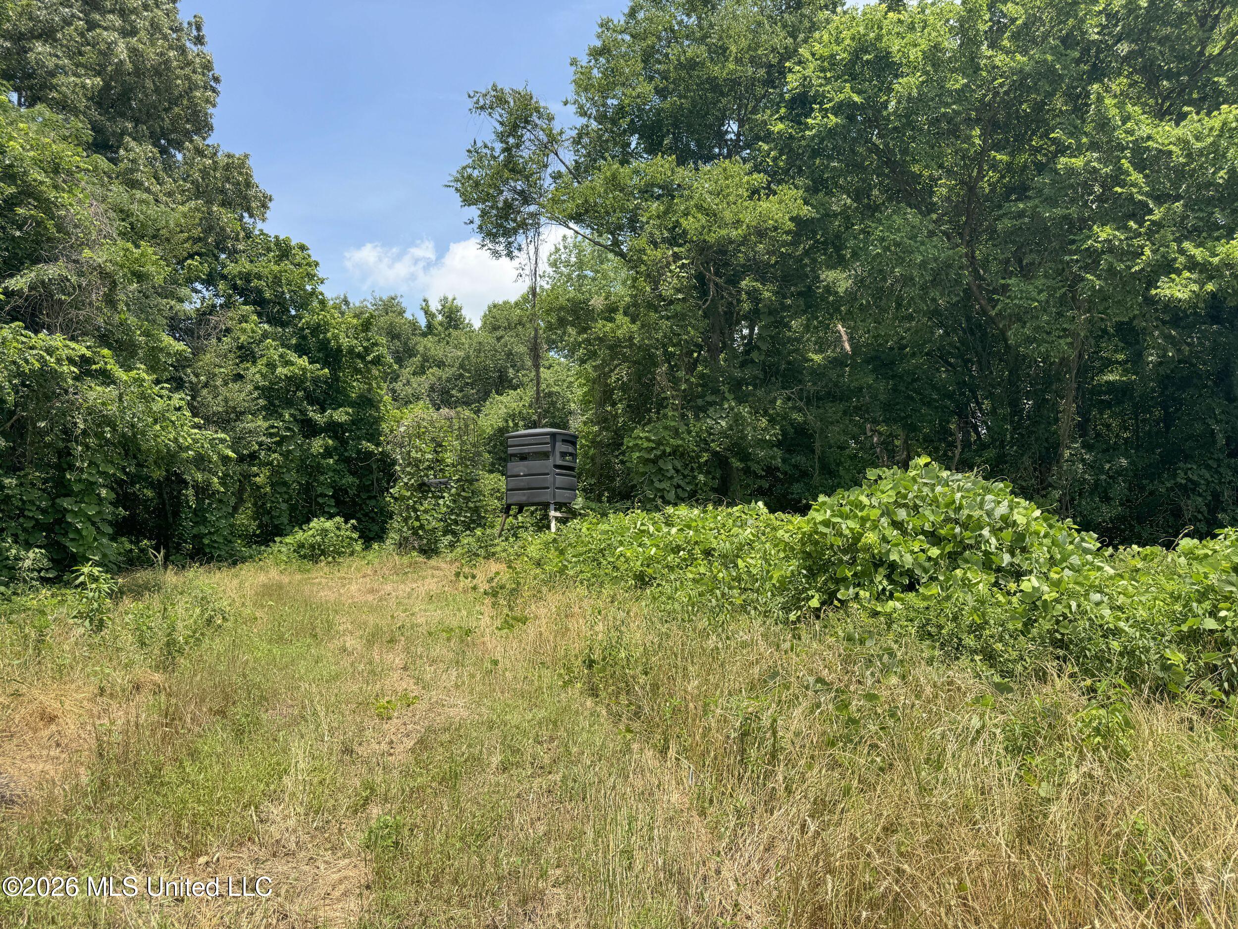 884 Avant Road Crenshaw, MS 38621 - Photo 122 of 154 6dbyicr66