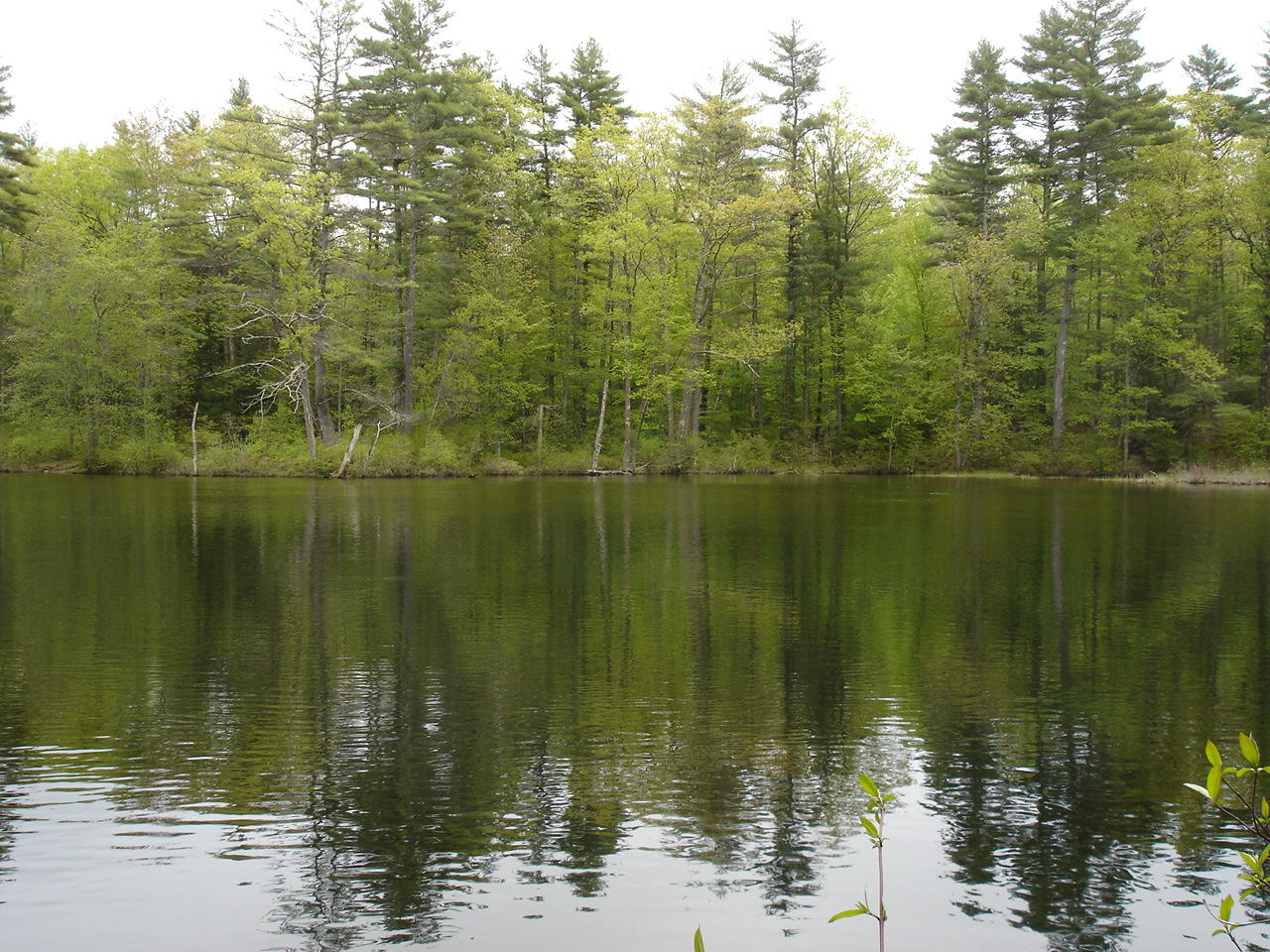 0 Hurricane Road Gorham, ME 04038 - Photo 3 of 10 DSC09952