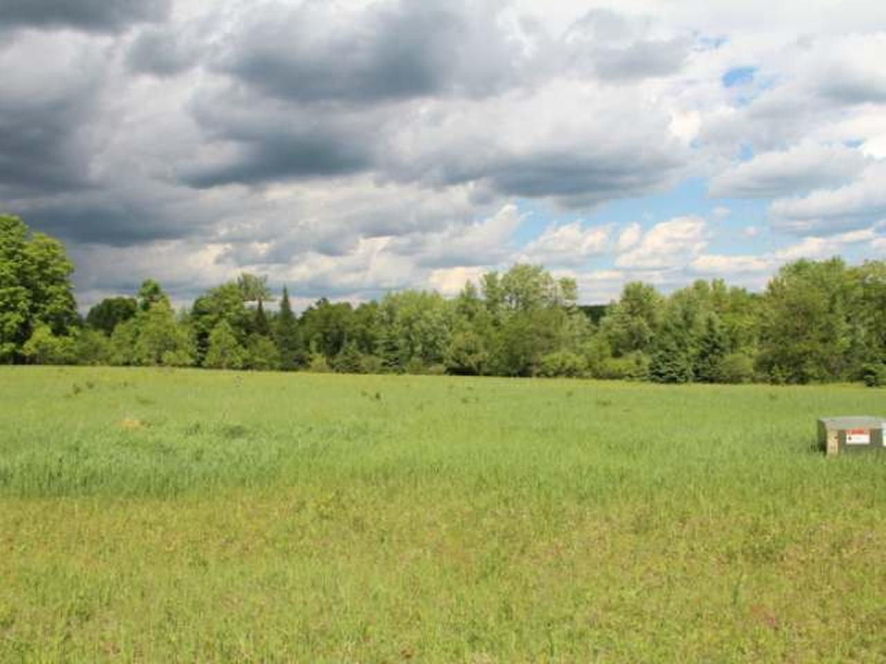 Lot 9 Bert Schmidt Road Glidden, WI 54527 - Photo 4 of 7 Gallery Image 4
