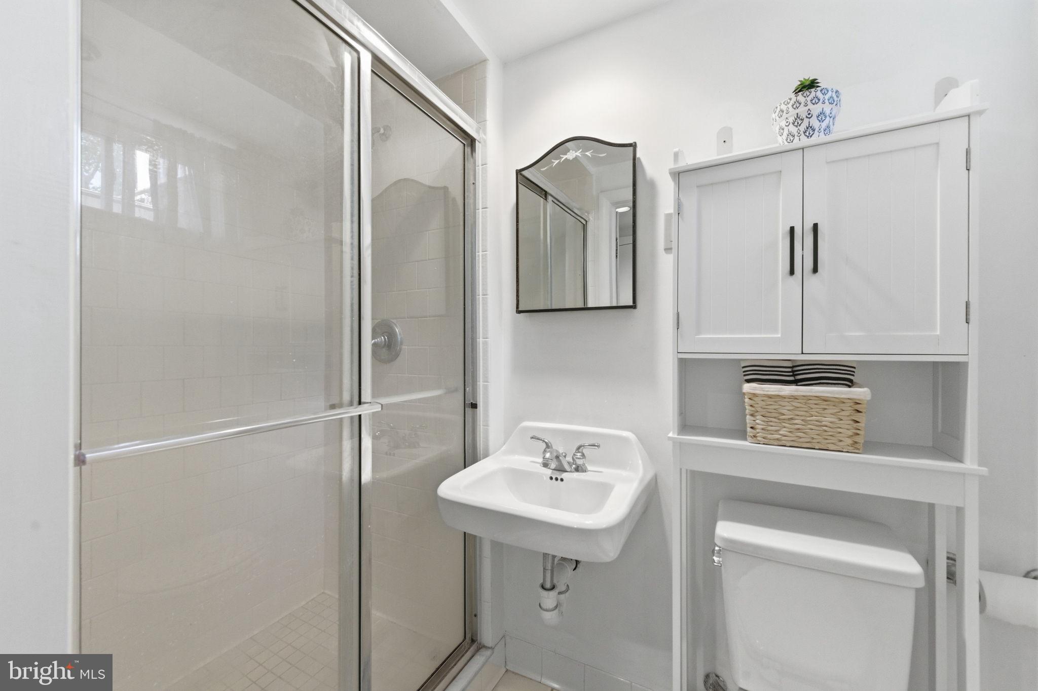 6467 Blenheim Road Baltimore, MD 21212 - Photo 36 of 61 Another view - Lower Level Full BA