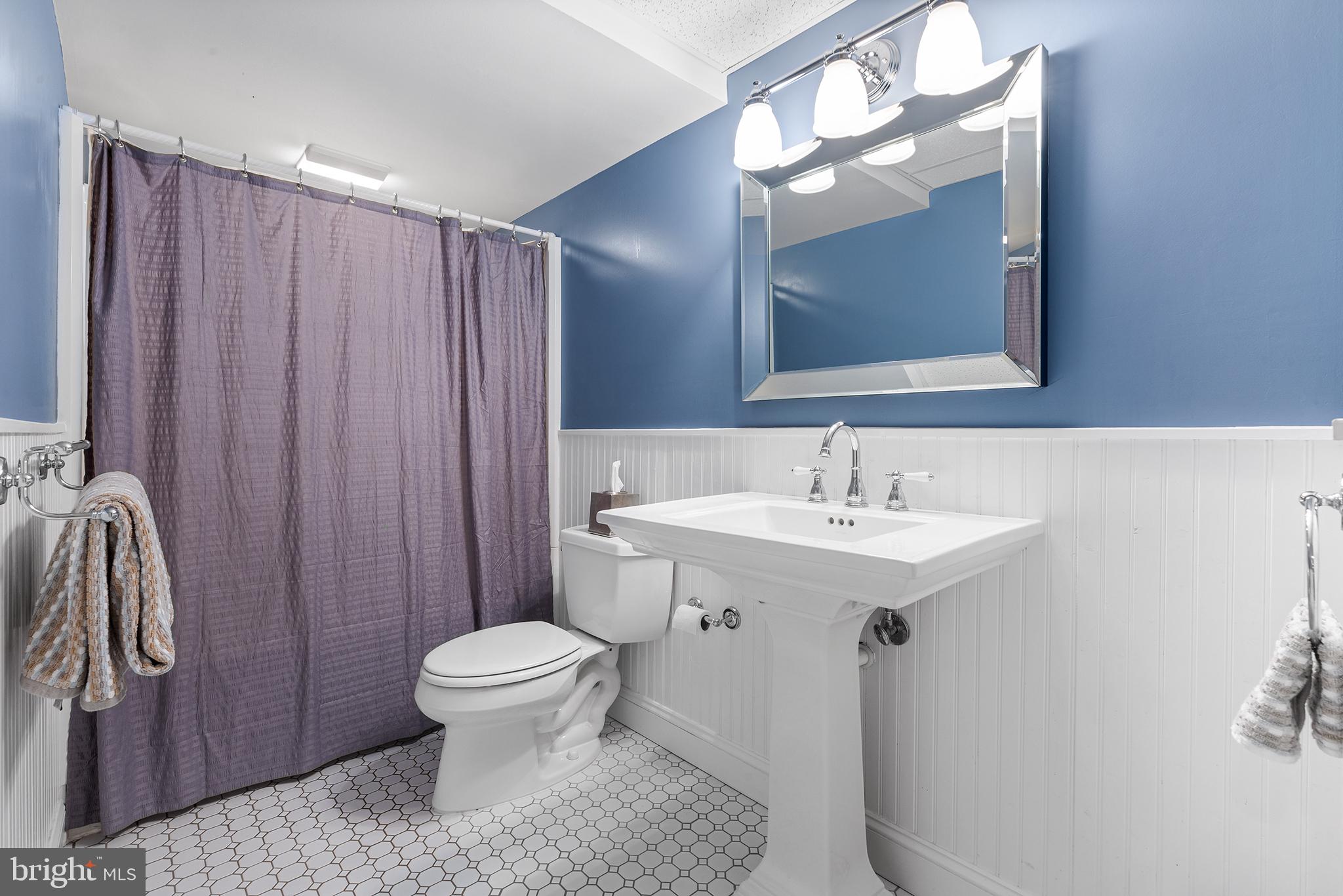 1029 Balmoral Way Ambler, PA 19002 - Photo 37 of 47 full bath lower level